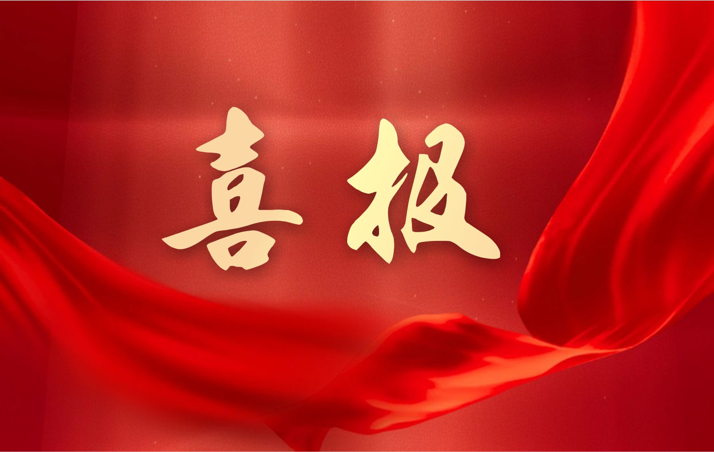 營(yíng)收凈利雙增長(zhǎng)！依頓電子2025年一季度經(jīng)營(yíng)業(yè)績(jī)續(xù)寫(xiě)高質(zhì)量發(fā)展華章